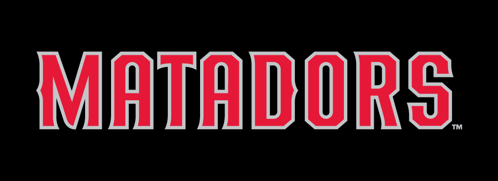 Cal State Northridge Matadors 2014-Pres Wordmark Logo v4 diy DTF decal sticker